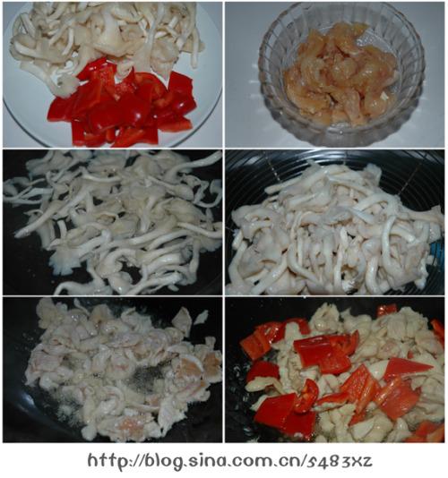 ��������Ƭ������