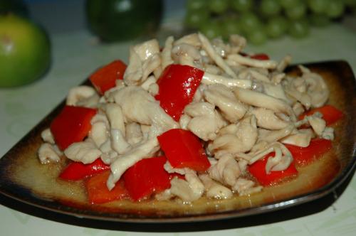 ��������Ƭ������