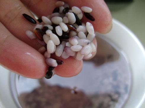 ��Ŵ����ź������