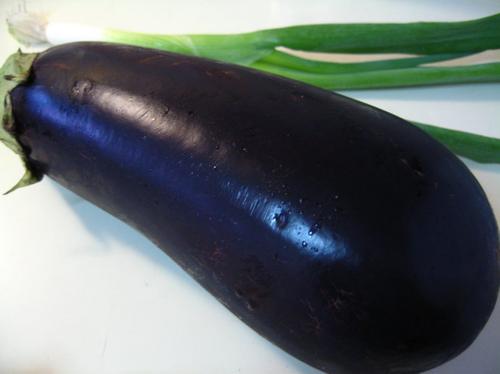 �����ӵ�����