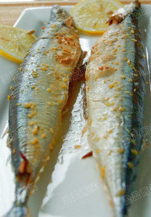 ���㿾�ﵶ�������