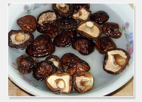 �㹽�Źǵ�����