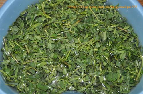 苜蓿炒肉丝的做法