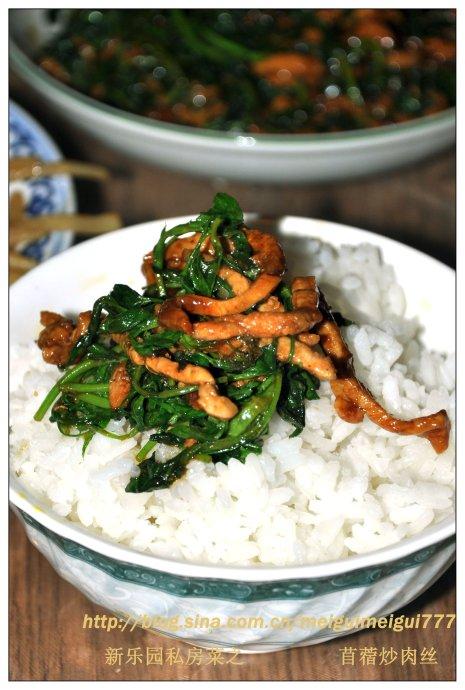 苜蓿炒肉丝的做法