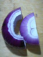 猪里脊炒葱头的做法