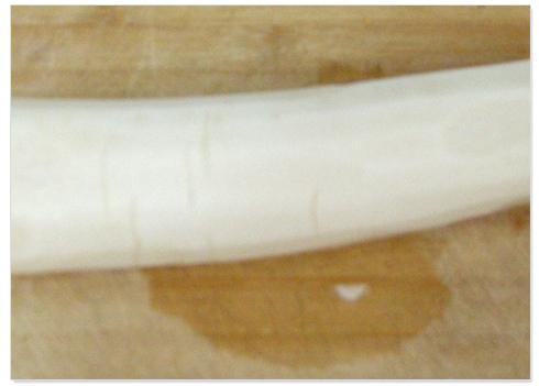 �����ܲ�������