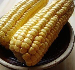 ��ܵ�����Ź��ҵ�����