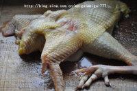 ¤�����Ӽ�������