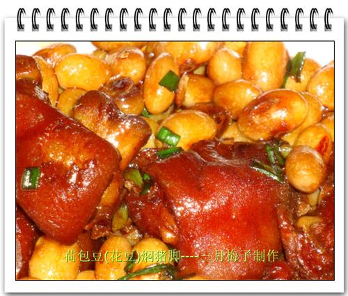 �ɰ��������ŵ�����