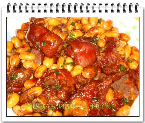 �ɰ��������ŵ�����