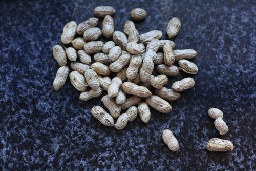 ����������������