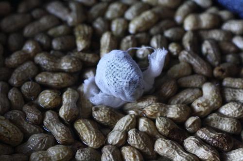 ����������������