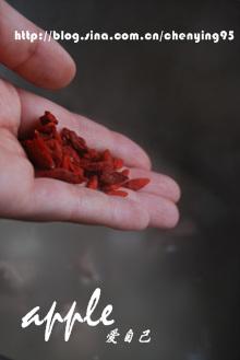 ���ħ���Ź���������