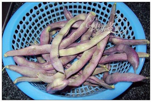 �Ź��ն��ǵ�����