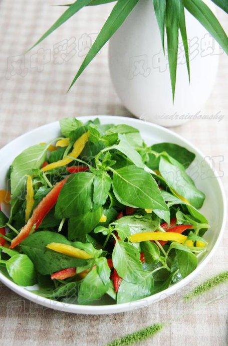 �ʽ��辣�������