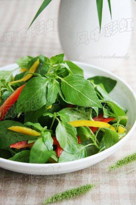 �ʽ��辣�������