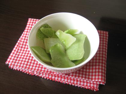 �����붬��Ƥˮ������