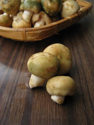 ������ͷ��������