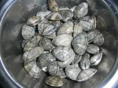 �̵��ƶ���������