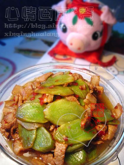 ݫ���������