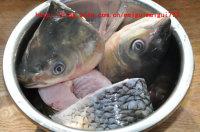 ɰ����ͷ������