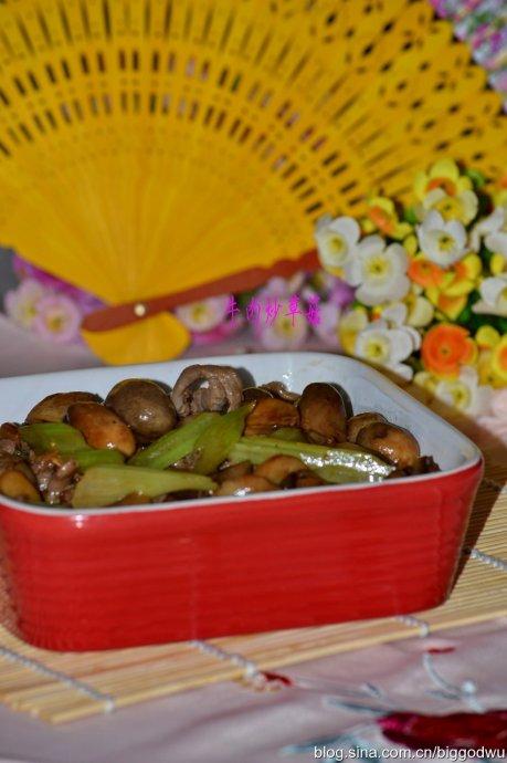 ţ�⳴�ݹ�������