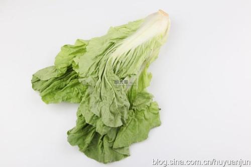 ���׳���˵�����