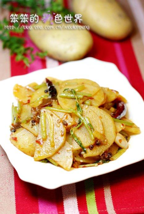 ������������Ƭ������