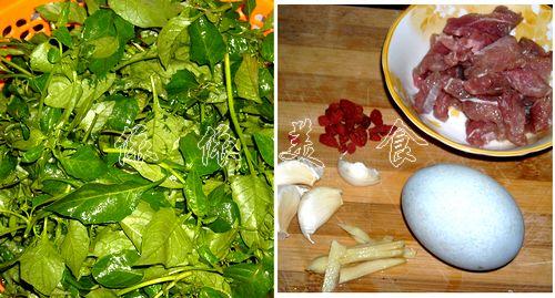 �����׻��˵�����