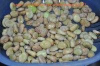 红椒炒大豆的做法