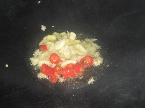 �ɹ��Ｆ������