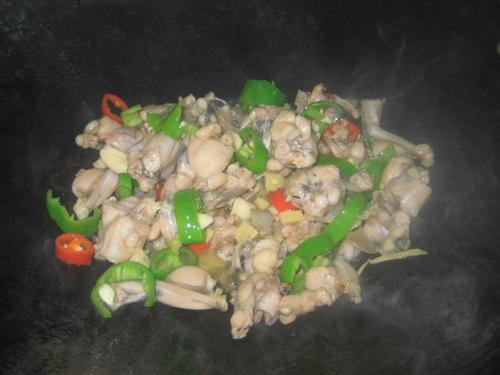 �ɹ��Ｆ������