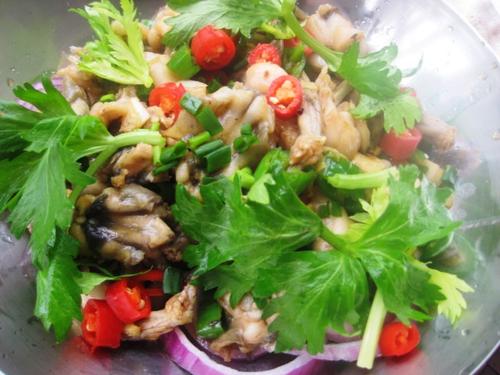 �ɹ��Ｆ������