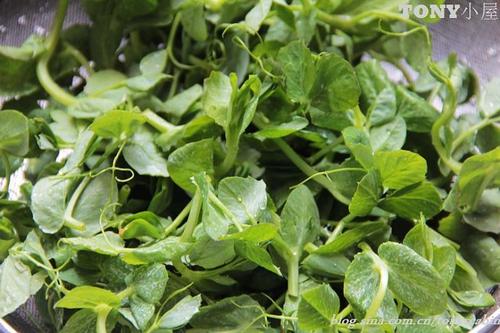 魲˳����������