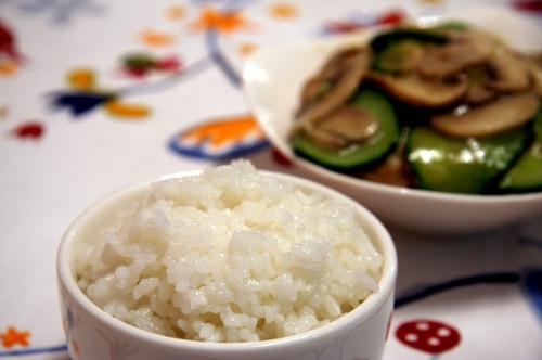 ��Ģ�ƹϵ�����