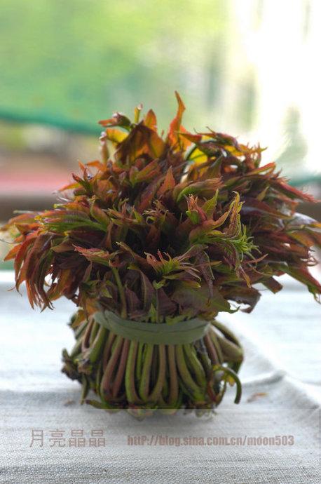 �㴻������������