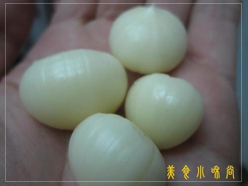 ����ľ��������