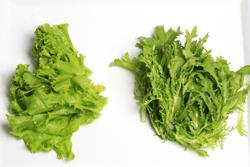 ���ʴ��˵�����