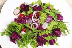 ���ʴ��˵�����