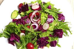 ���ʴ��˵�����