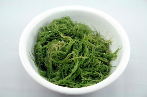 ��ˬ���������