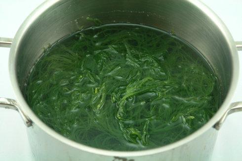 ��ˬ���������