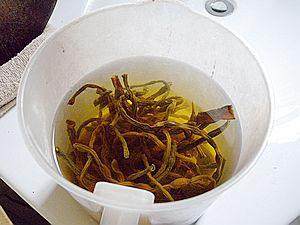 ������������������