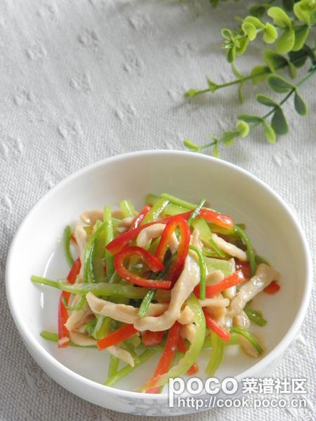 ��������˿������