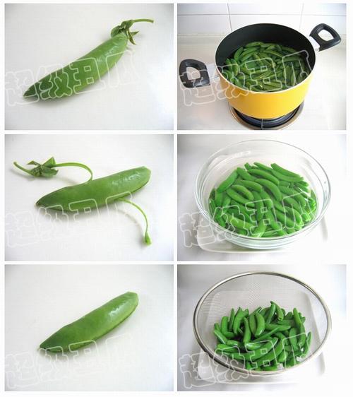 ����𶹳�ţ�������