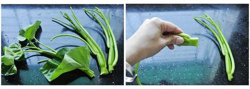 �������Ĳ˹�������