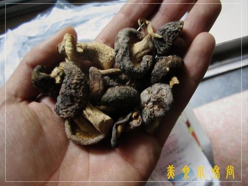 ����Ұ���̲�����������