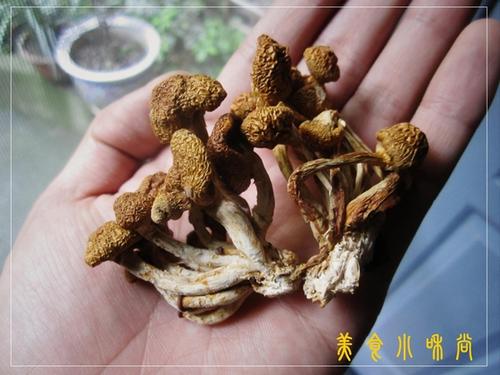 ����Ұ���̲�����������