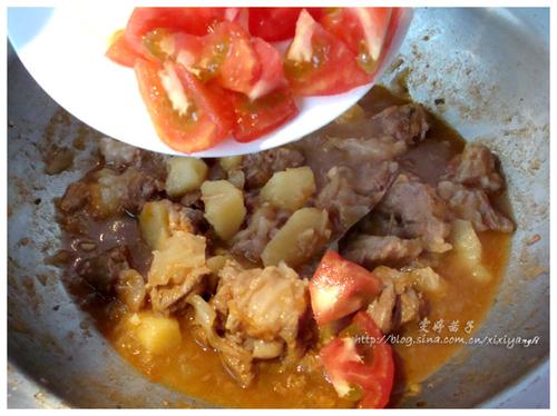 ����������ţ���������