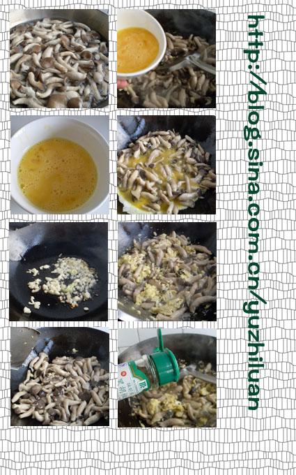 Ģ��������������